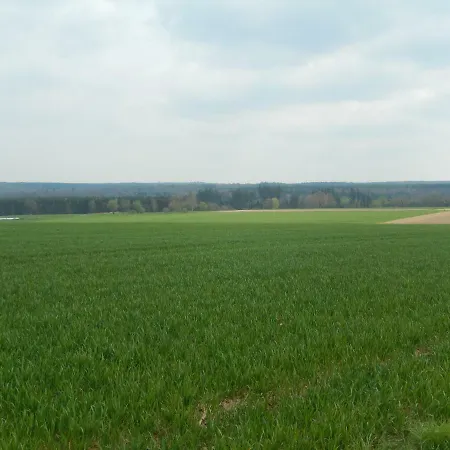 Ebeling Under Stars * Dassel